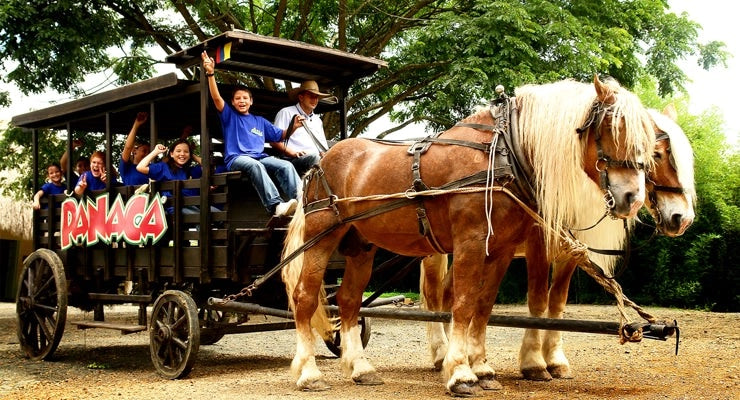 TOUR PANACA EJE CAFETERO