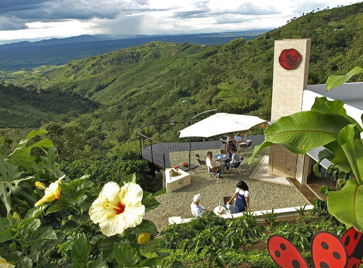 TOUR MAESTRO CAFETERO SAN ALBERTO EJE CAFETERO