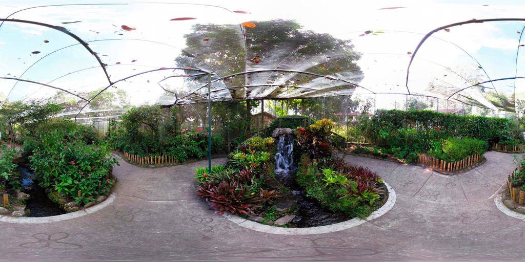 TOUR JARDIN BOTANICO EJE CAFETERO