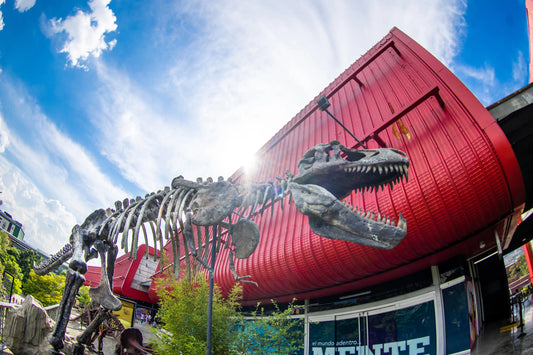 PARQUE EXPLORA Y MUSEO EL CASTILLO